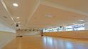 bild8