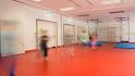 Bild6